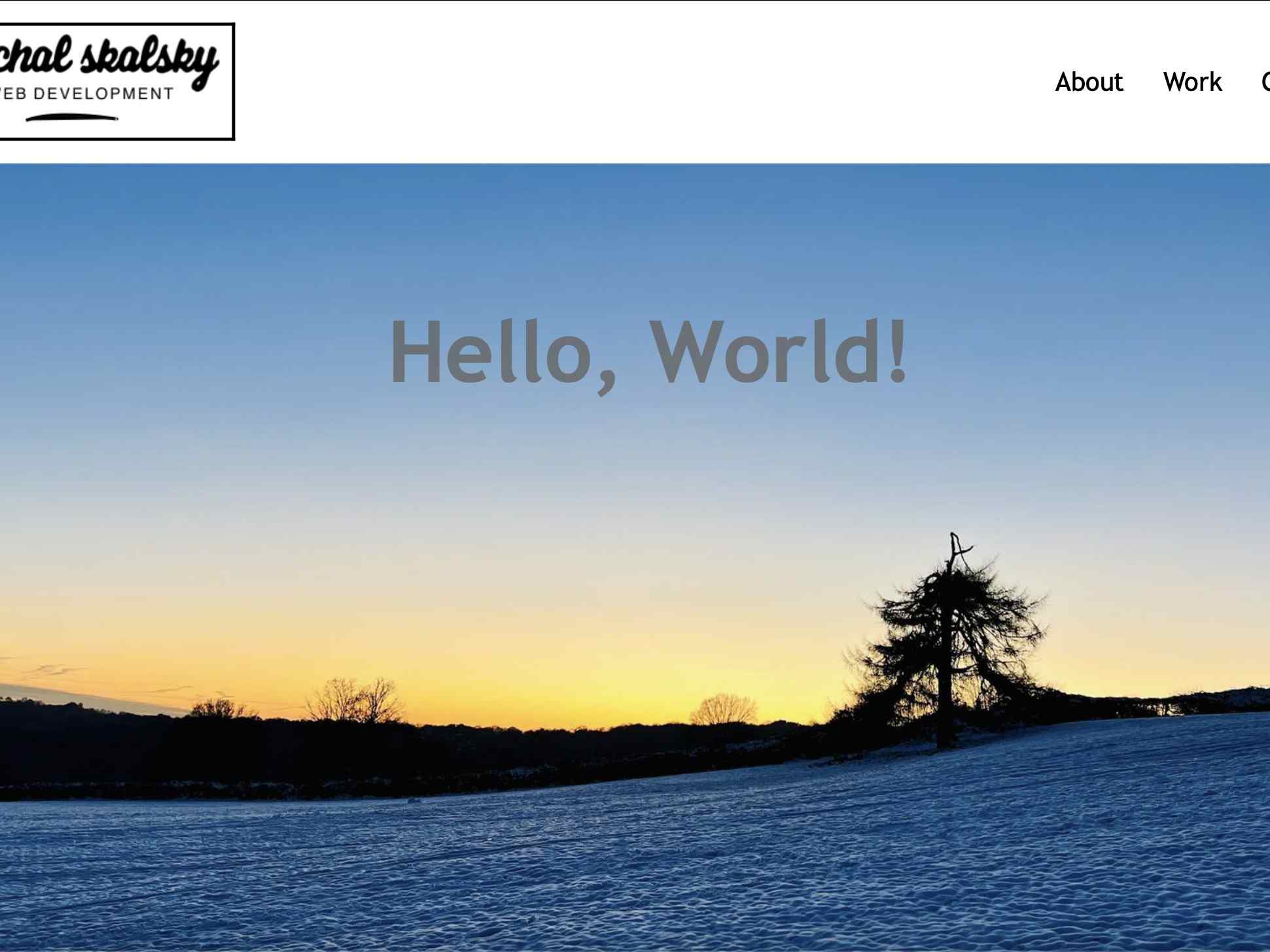 screenshot of my previous portfolio